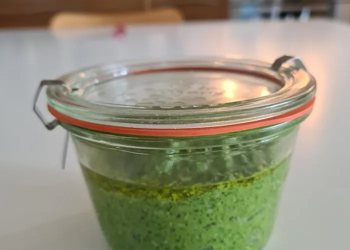 Semesterbostad 